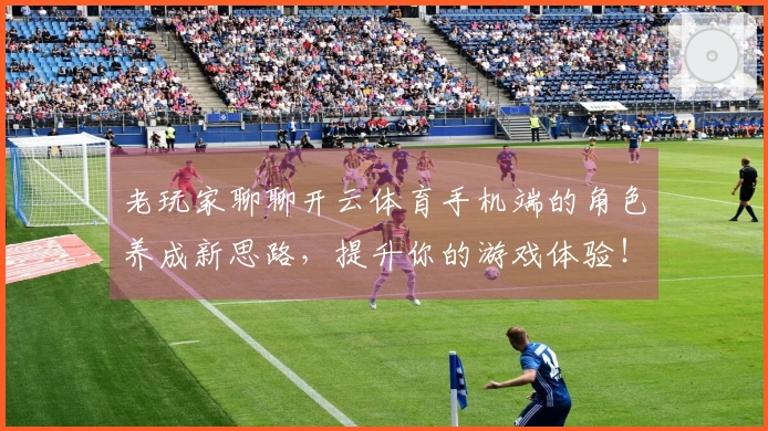 老玩家聊聊开云体育手机端的角色养成新思路，提升你的游戏体验！