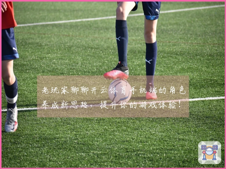 老玩家聊聊开云体育手机端的角色养成新思路，提升你的游戏体验！